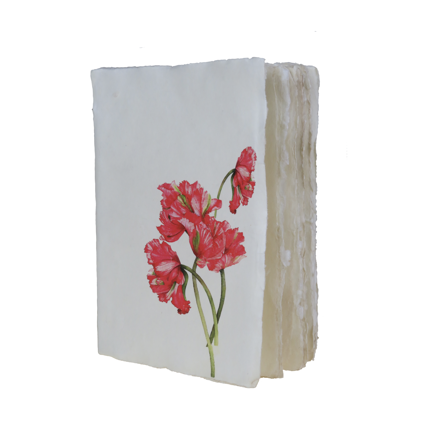 Tulipe rouge - Carnet en papier parchemin