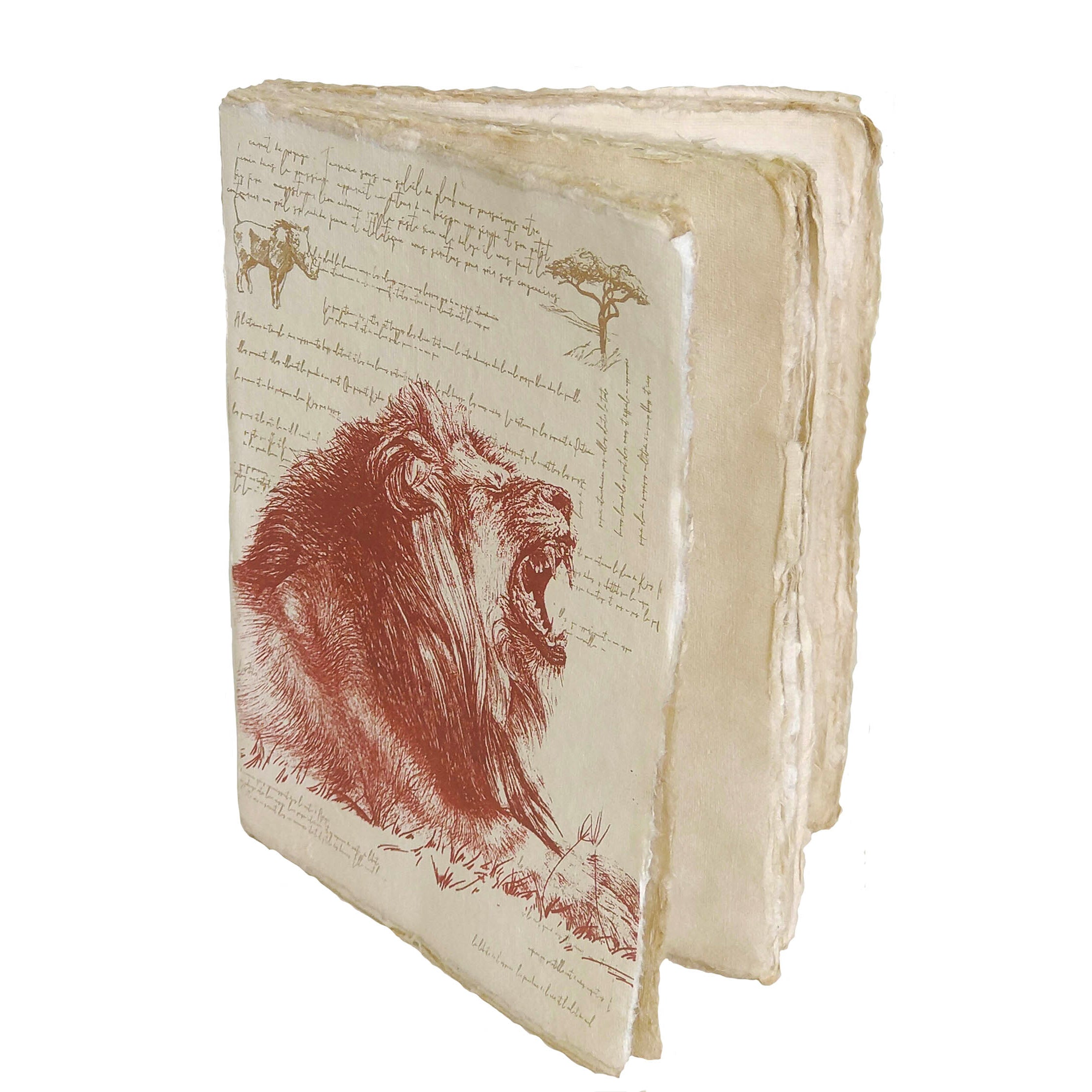 Félins "Lion" - Carnet en papier parchemin