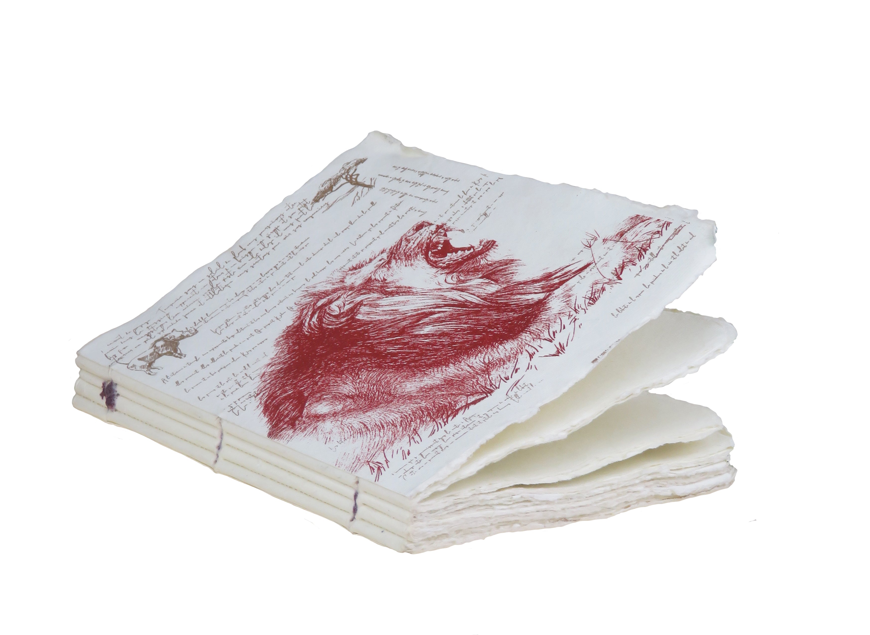 Félins "Lion" - Carnet en papier parchemin