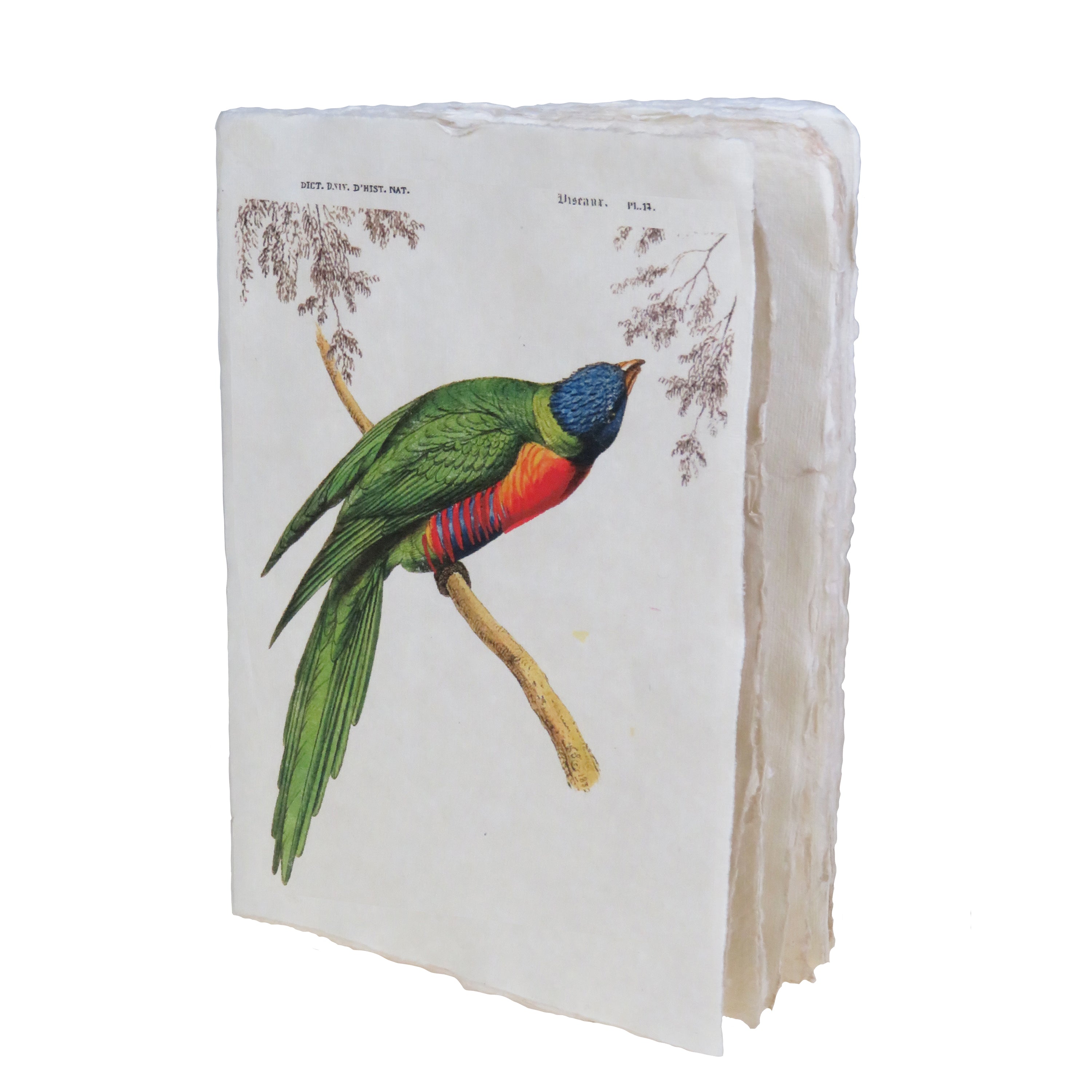 Oiseaux Tropicaux "Perruche" - Carnet en papier parchemin