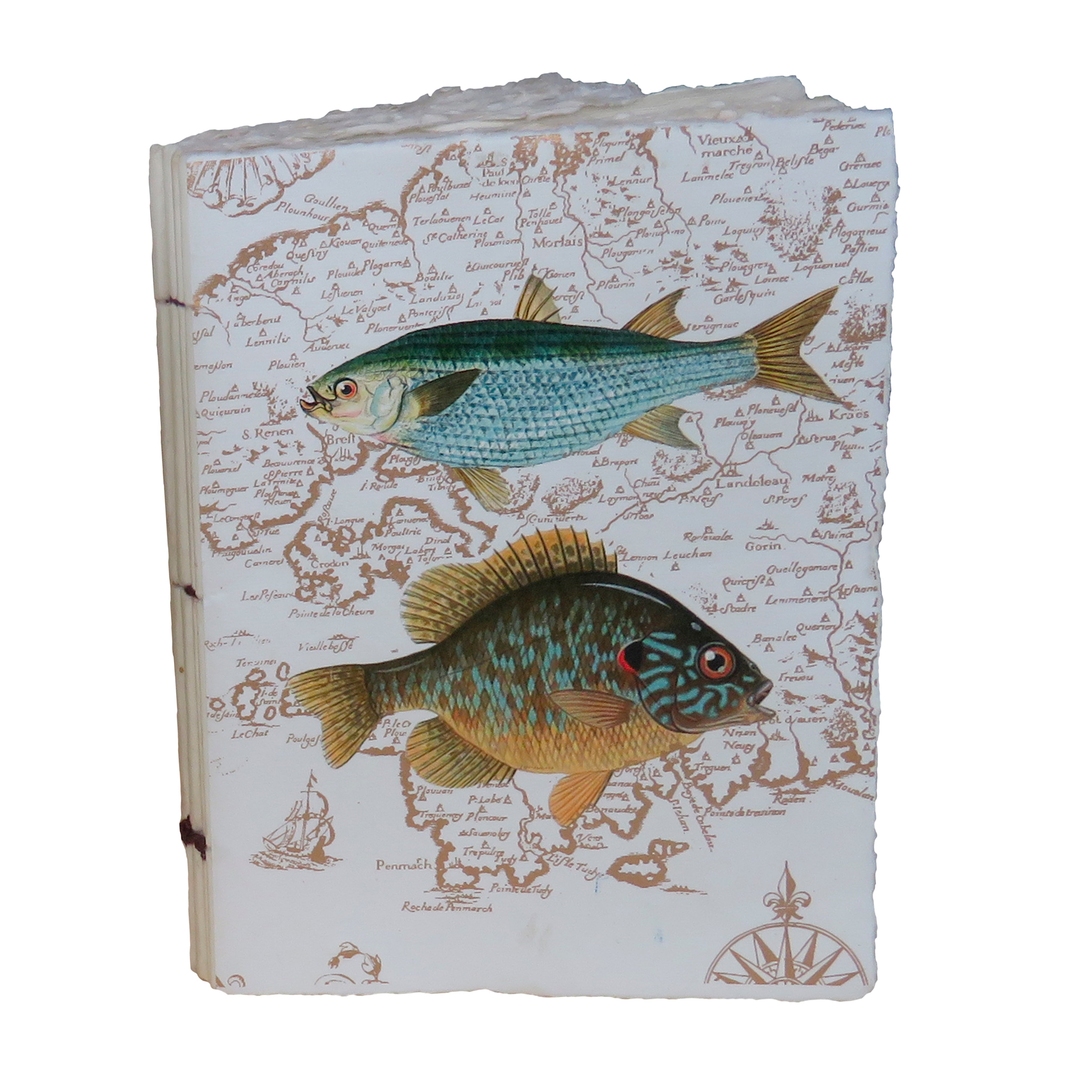 Poissons Bretons Verts - Carnet en papier parchemin