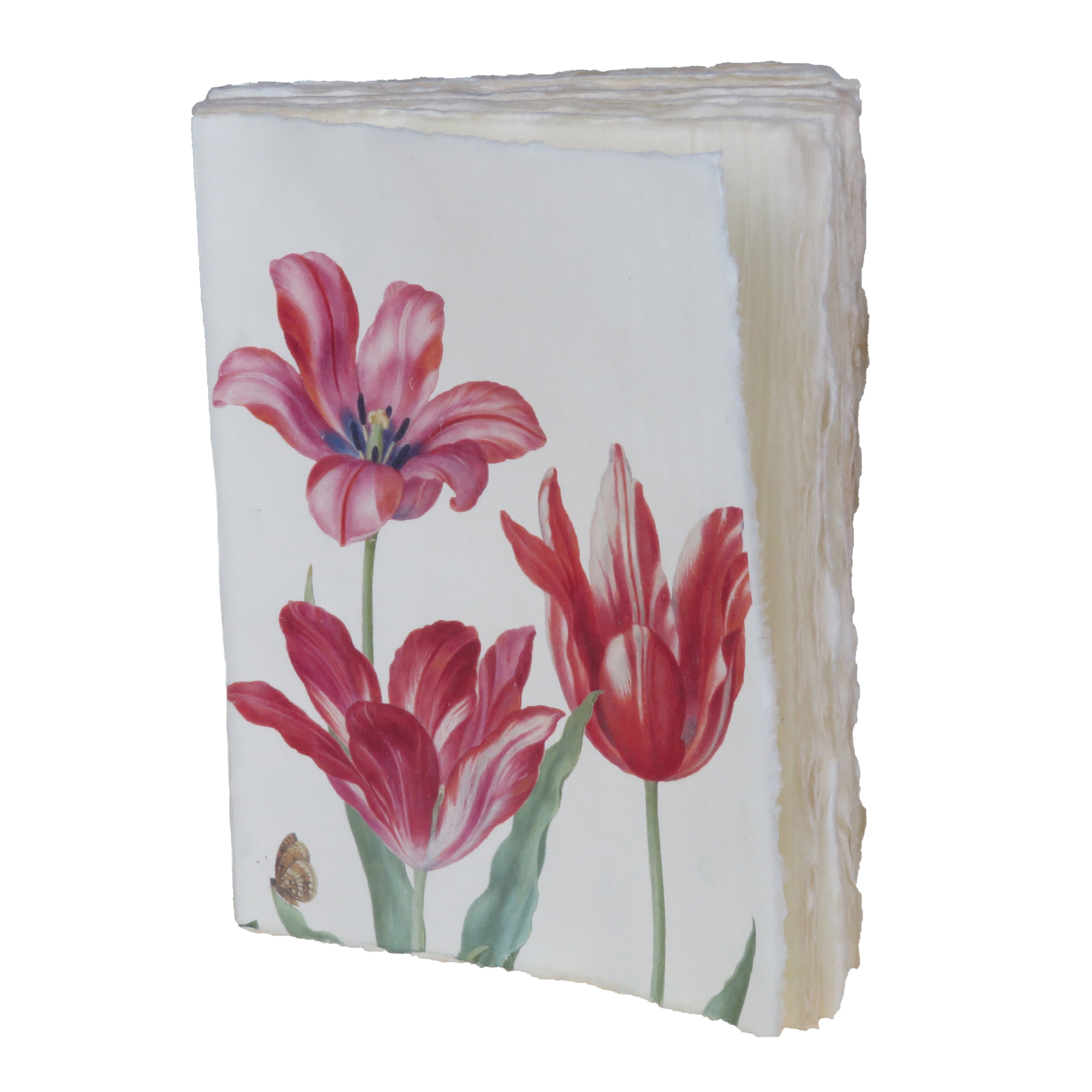 "Trois Tulipes" du Florilège de Nassau - Carnet en papier parchemin x BNF